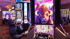 ck333 bet